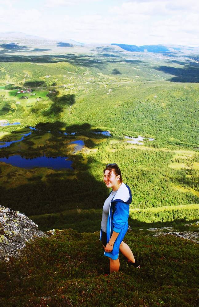 norwegian mountains - nomadic gene